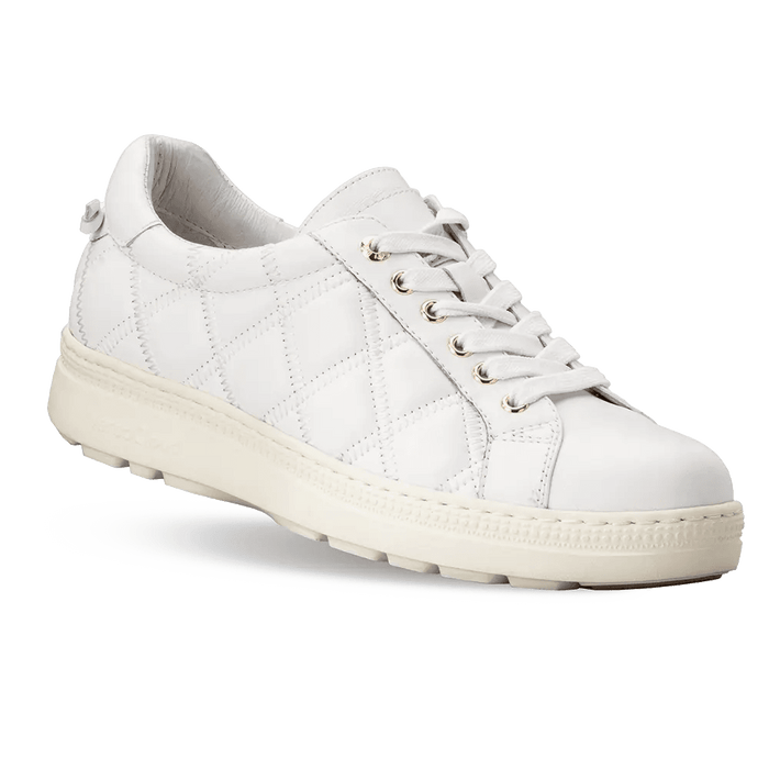 tb7208fw-womens-gale-casual-oxford-white