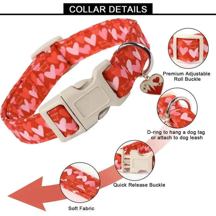 TM - PETWONG Collars "You Are Loved" Hearts with Charm Red Dog Collar