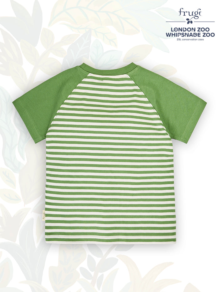 ZSL Raglan T-Shirt